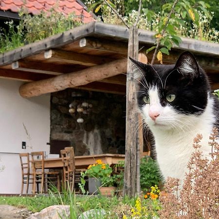 Ferienhaus Krieben Tresdorf Luaran gambar