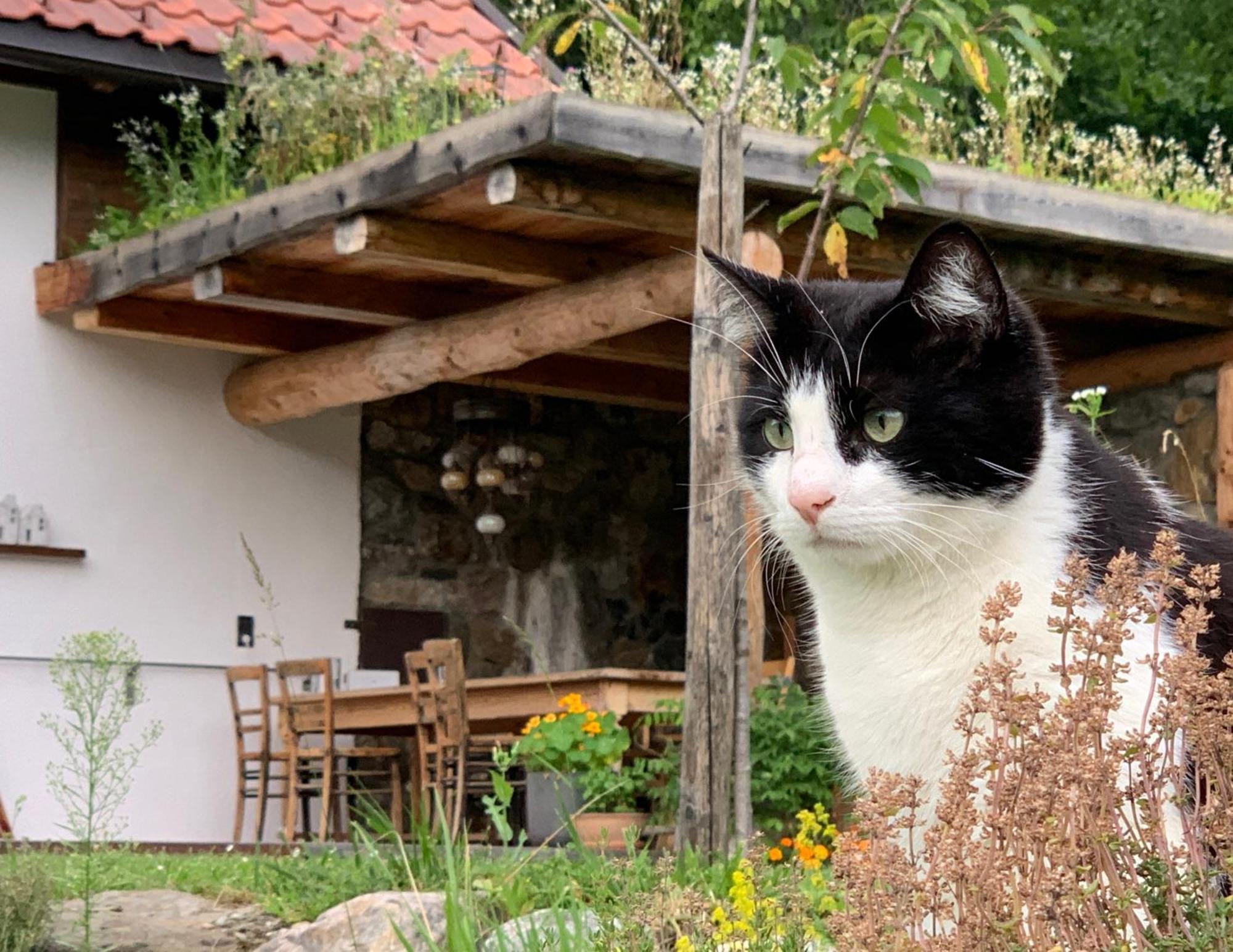 Ferienhaus Krieben Tresdorf Luaran gambar